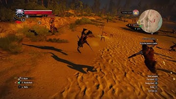 Witcher 3 - walking bug