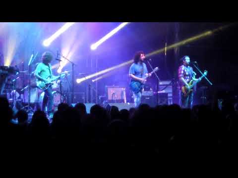 Pigeons Playing Ping Pong -  'Pop Off' Lake George, NY   9/2/18