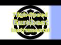 High-Speed Eurobeat Instrumental, The purpose of the MPF w Mt. Fuji, 2025 (Ver.21.3.1)