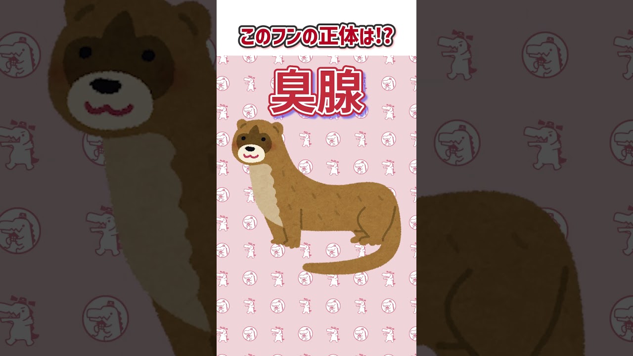 【害獣クイズ♯3】天井裏にフン？正体はいかに！？  