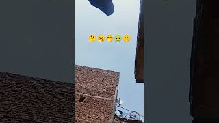 Sotfeed | Ytsshorts | Shorts