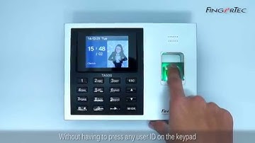 TA500 - Verification