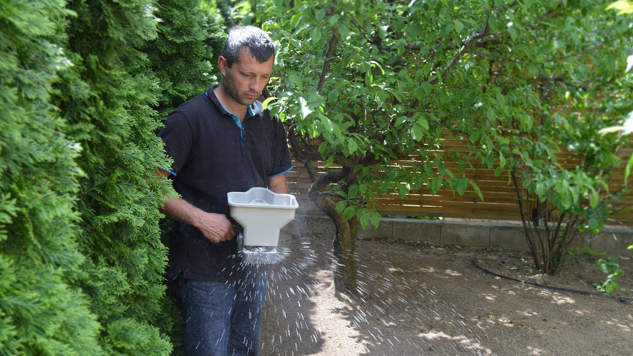 A férj nem akarja abbahagyni a fű dohányzását