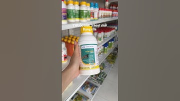 Thuốc sâu thần công quản lí sâu đục trái sâu đục thân bọ xích mũi #baogia #anphatnong