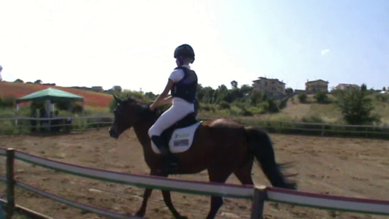 2° TAPPA TROFEO DISCIPLINE INTEGRATE ASI SPORT EQUESTRI 2019