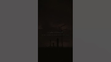 القارئ محمد الغزالي