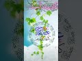 تهنئة معايدة عيد الاضحى المبارك