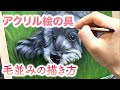 【アクリル画】Dog Painting 毛の描き方、筆の使い方