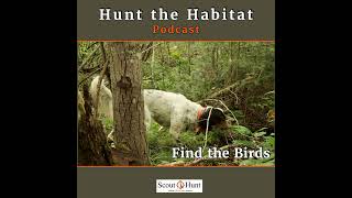 #4 Minnesota Habitat to Hunt Grouse & early development puppy training