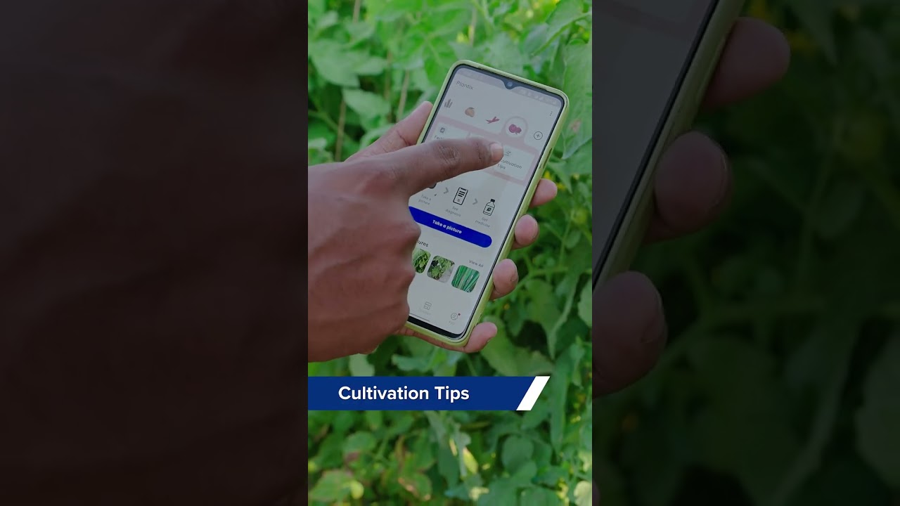 A TO Z खेती PLANTIX APP के साथ🌽👨🏽&zwj;🌾 #indianfarmer #shorts #plantix