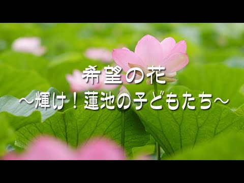 希望 の 花 歌