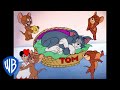 Tom & Jerry em Português | Brasil | Jerry o Atrevido | WB Kids