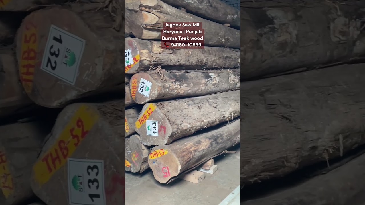 Burma teak wood | Jagdev Saw Mill teak wood wholesaler Haryana & Punjab | Finest Timber Store