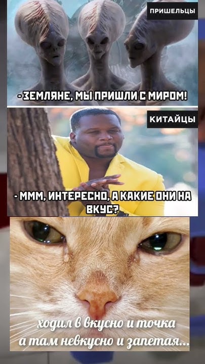 #мемы - YouTube