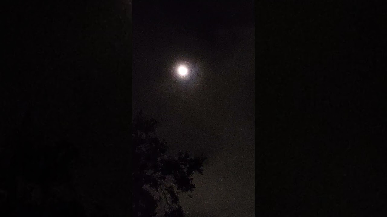 28mins of lights  1/11//26 AM ish 