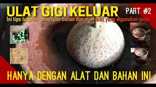 ULAT GIGI KELUAR HANYA DENGAN BAHAN INI #ulatgigi #pengobatanalternatif  #videos