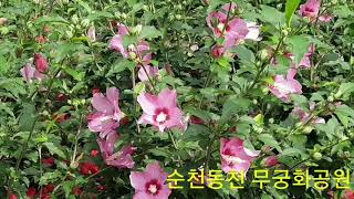 풍덕공원 영상