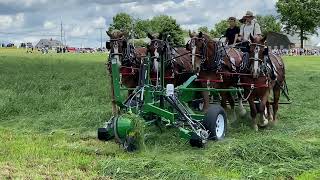 Horse Progress Days 2021 hay demo with 24’ cycle bar mower part 1 of 2 on the mower