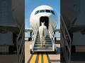 Horse Stopped The Airplane And Saved Thousands Of Passengers Ai Horse Animals 