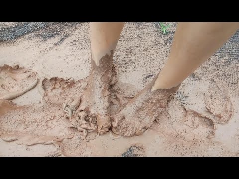 It rained on Quan's way home, so she had to take off her shoes and walk barefoot through the wet mud