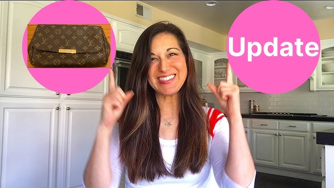 GONE FOREVER?! Louis Vuitton's Recently Discontinued Pieces (2018) 