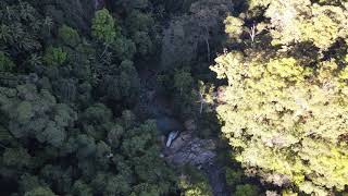 Guanaba Indigenous Protected Area Down To Guanaba Creek Falls Private Land