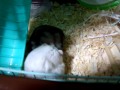 僕じゃダメなの(:_;)