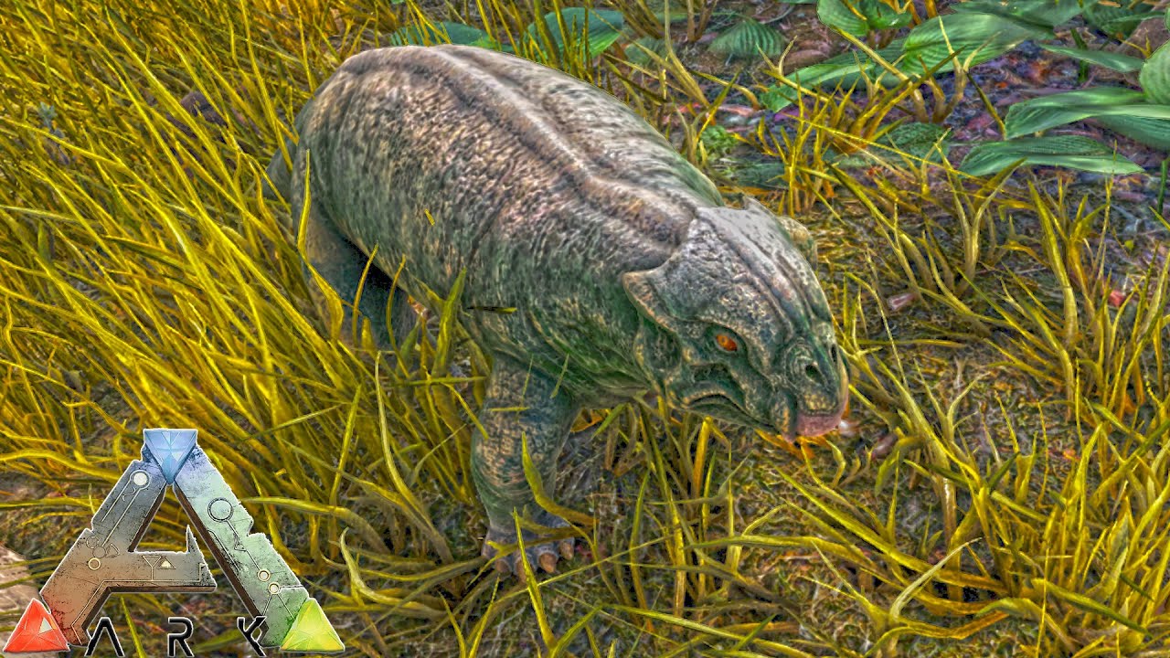 ITTLE WITTLE PET in Day 9 ARK SURVIVAL EVOLVED - YouTube