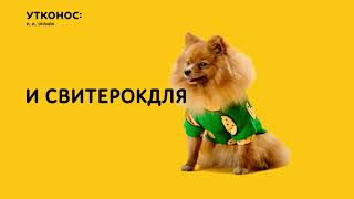 и всенасветеНОС: