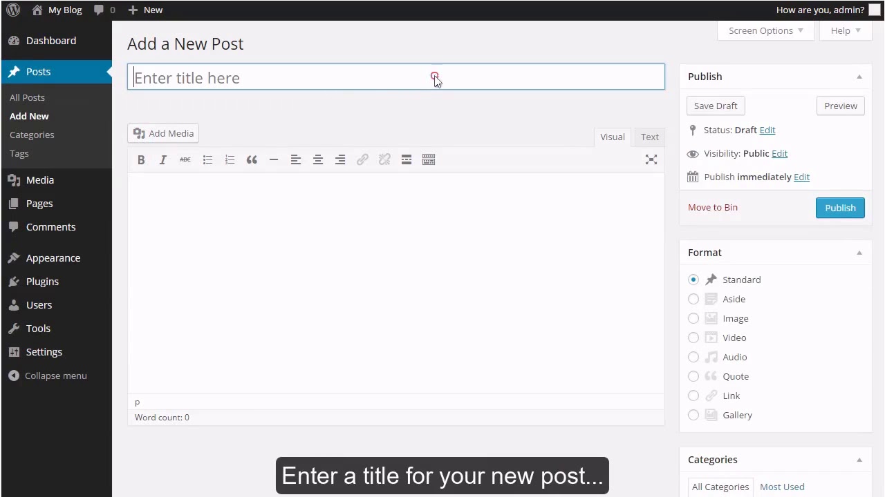 How to write a new post in WordPress?