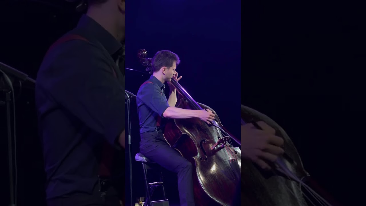 Wolfram Wagner: Vivace, Dominik Wagner (double bass)