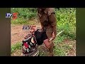 Kurnool forest officials highhandedness on Girijans