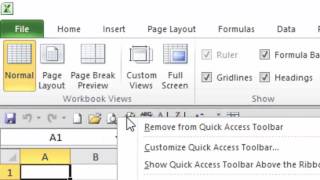 Celebrity Excel Tips -- Quick Access Toolbar Net Worth