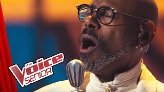 Ray Charles - Georgia On My Mind (Dennis Le Gree) | The Voice Senior | Finale
