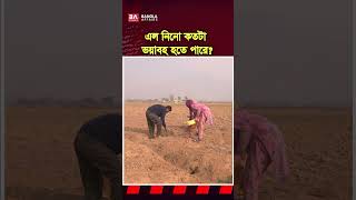 এন নিনো কতটা ভয়াবহ হতে পারে? #ElNino #SuperElNino #ClimateChange #GlobalWarming