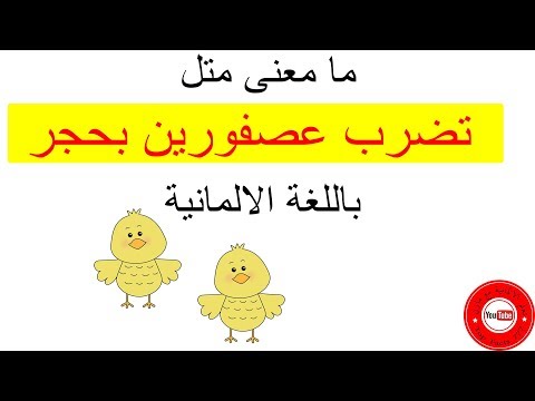 248 ماذا يعني مثل تضرب عصفورين بحجر باللغة الالمانية