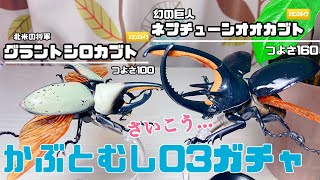 【かぶとむし０３】全6種ガチャ開封！