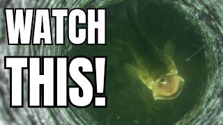 This Ice Fishing Method Feels Like Cheating (But It’s Not!) screenshot 3