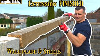 We FINALLY FINISHED this extension!