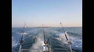 Combate con un gran Tiburón Azul (caella) hasta soltarse solo - BIG GAME ! #CapturaYSuelta screenshot 2