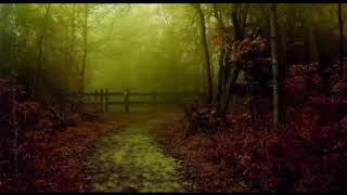 Shift To Your Temporary Reality Subliminal