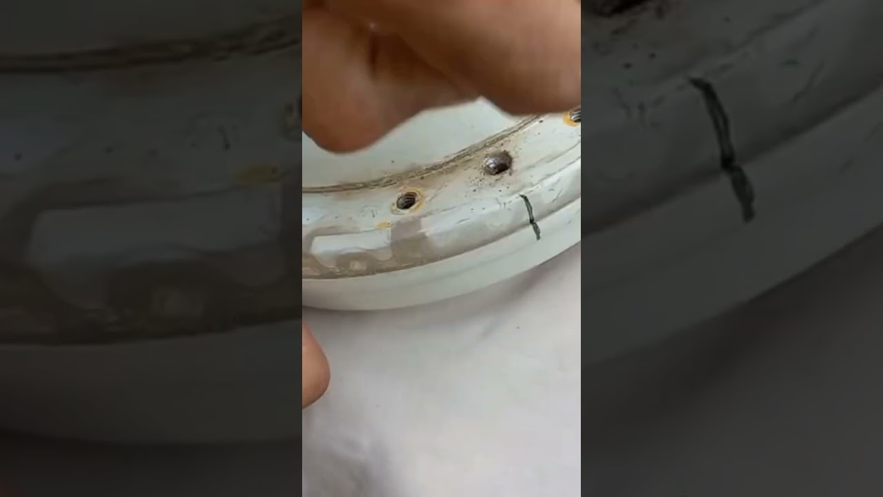 ceiling fan bearing replacement