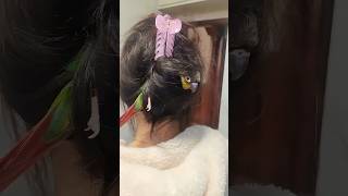The playful parrot got tangled in its owner's hair. #birds #parrots #parrot #pets #shorts Net Worth