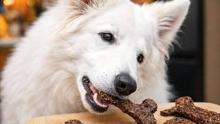 3-Ingredient Liver Dog Treats | What I Bake for My Own Dog screenshot 3