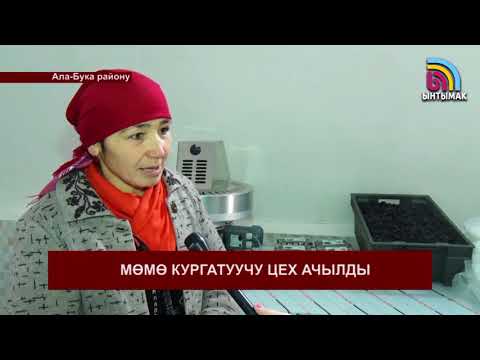 Video: Кир жуугуч машиналар кургатылган: столдун астындагы кургатуучу машинаны тандаңыз, кургатуучу функциясы бар мыкты моделдердин рейтинги