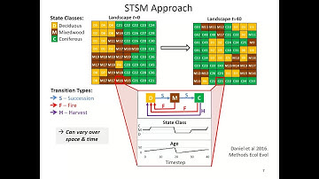1. Introduction to state-and-transition simulation models