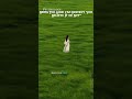 PSYCHOLOGY SAYS : Being Too Good Can Destroy You, Believe It or Not?!. #psychology #shorts #quotes