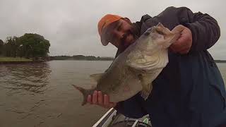 Pizz on em - Oklahoma Swimbaiter in Fork Texas with some shadley action