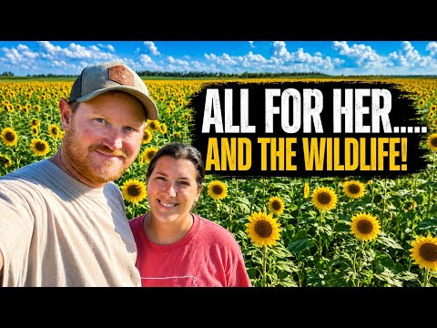 She Got Her Dream Sunflower Field!