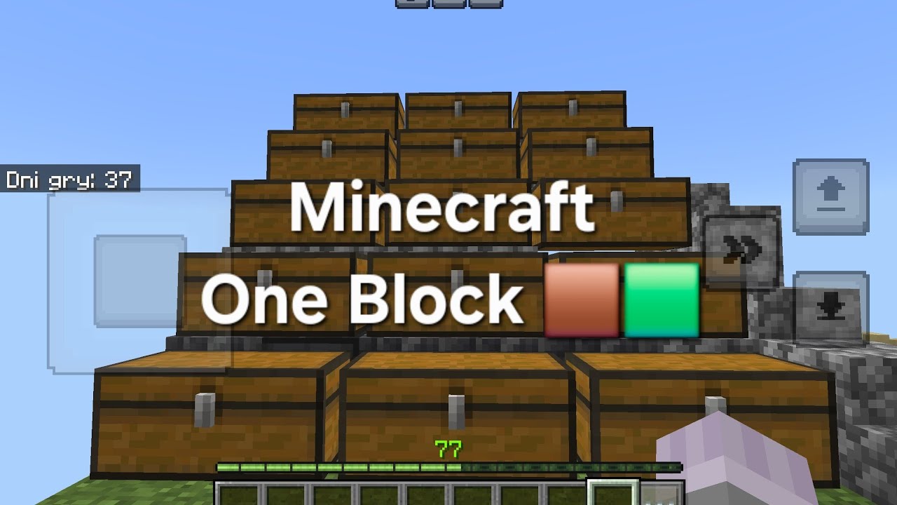 Buduje miejsce na szkielety w Minecraft oneblock